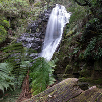 6616ab8ed8c3c268632d0a1d_mathinna-falls-in-tasmania_1768024464062.jpg