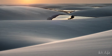6616ab8ed8c3c268632d0a1d_mirage-ii_1748968556024.jpg