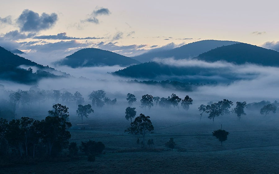 6616ab8ed8c3c268632d0a1d_misty-mountain-hop-web_1757488064825.jpg