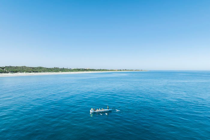 6616ab8ed8c3c268632d0a1d_mullaloo-beach-surf-club-rowing-out-to-sea_1757931127341.jpg