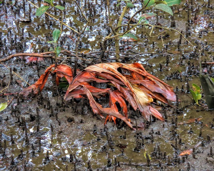 6616ab8ed8c3c268632d0a1d_nature-reclaims_1784024448922.jpg