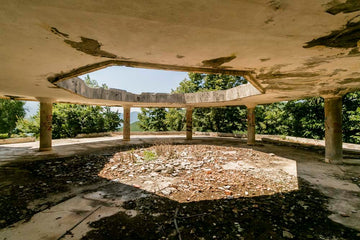 6616ab8ed8c3c268632d0a1d_nature-s-takeover-at-the-rotunda_1757648900218.jpg