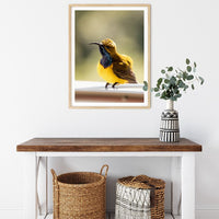 6616ab8ed8c3c268632d0a1d_olive-backed-sunbird-wood-frame_1763361883419.jpg