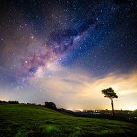 6616ab8ed8c3c268632d0a1d_one-tree-stars-7347_1790207499499.jpg