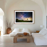 6616ab8ed8c3c268632d0a1d_one-tree-stars-calm-interior-export_1790207517469.jpg