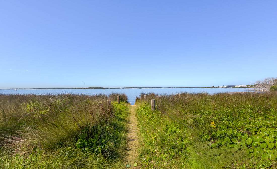 6616ab8ed8c3c268632d0a1d_path-to-the-bay-1_1775993962458.jpg