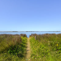 6616ab8ed8c3c268632d0a1d_path-to-the-bay-1_1775993962458.jpg