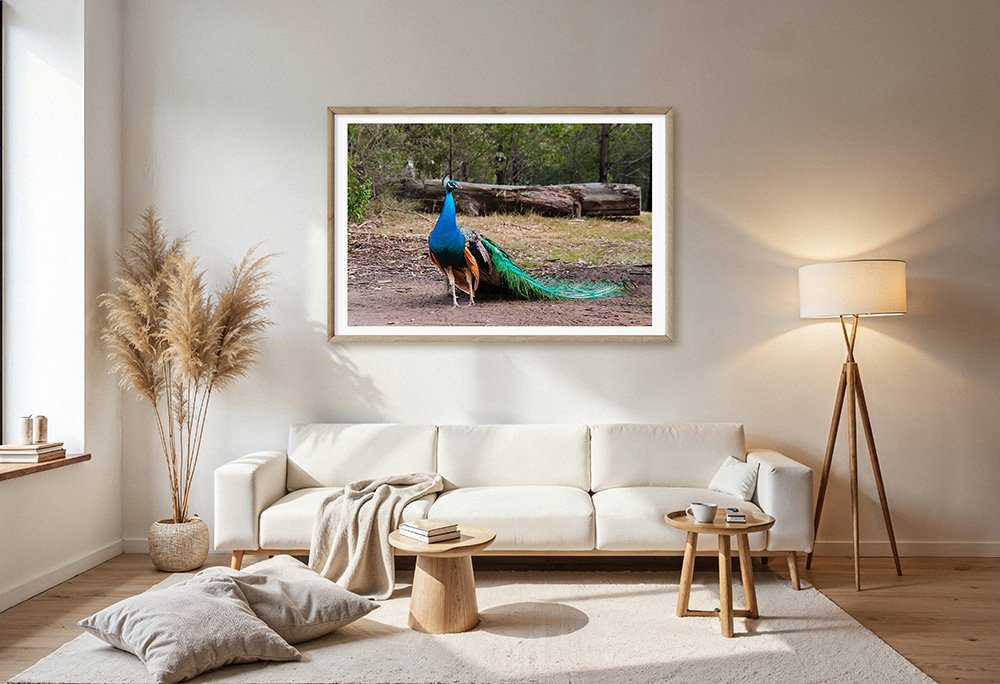 6616ab8ed8c3c268632d0a1d_peacock-in-the-woodlands-wood-frame_1765694486933.jpg