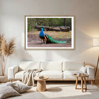 6616ab8ed8c3c268632d0a1d_peacock-in-the-woodlands-wood-frame_1765694486933.jpg