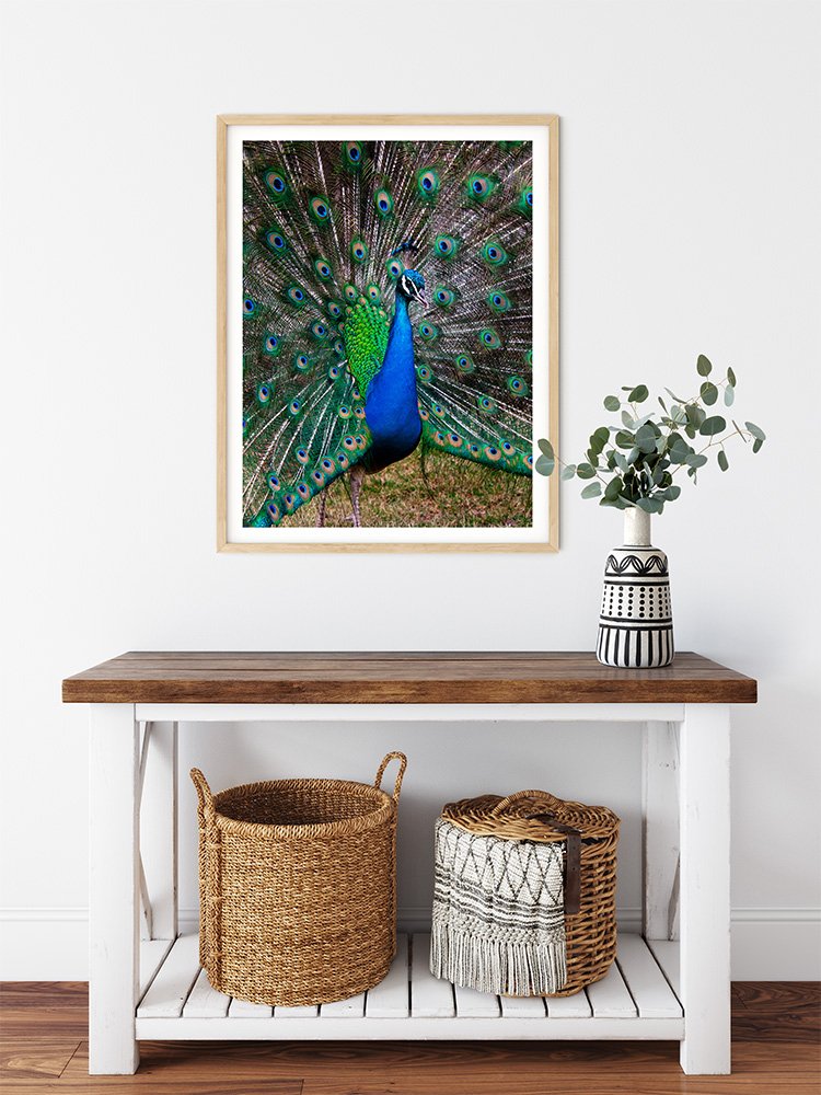 6616ab8ed8c3c268632d0a1d_peacock-portrait-1-wood-frame_1765694647517.jpg