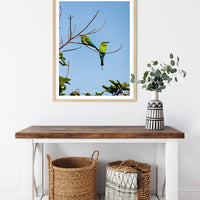 6616ab8ed8c3c268632d0a1d_rainbow-bee-eaters-portrait-wood-frame_1765689336456.jpg