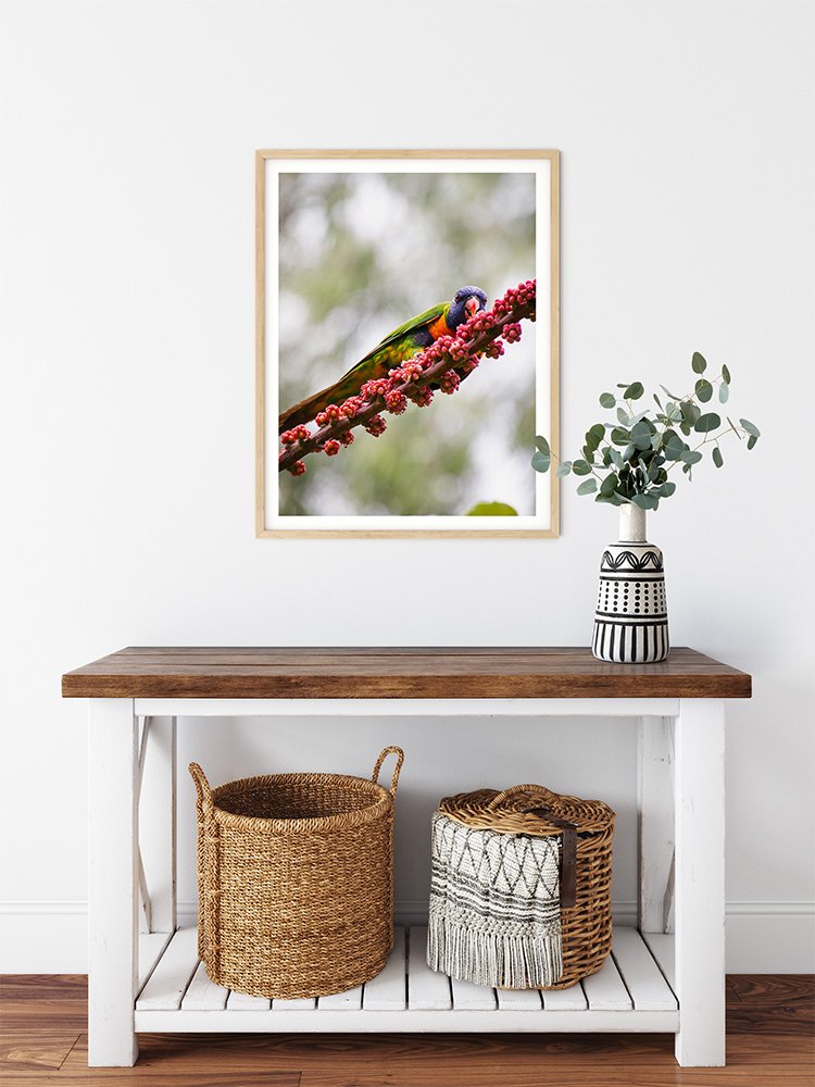 6616ab8ed8c3c268632d0a1d_rainbow-lorikeet-on-a-branch-wood-frame_1765689442108.jpg