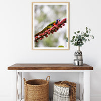 6616ab8ed8c3c268632d0a1d_rainbow-lorikeet-on-a-branch-wood-frame_1765689442108.jpg