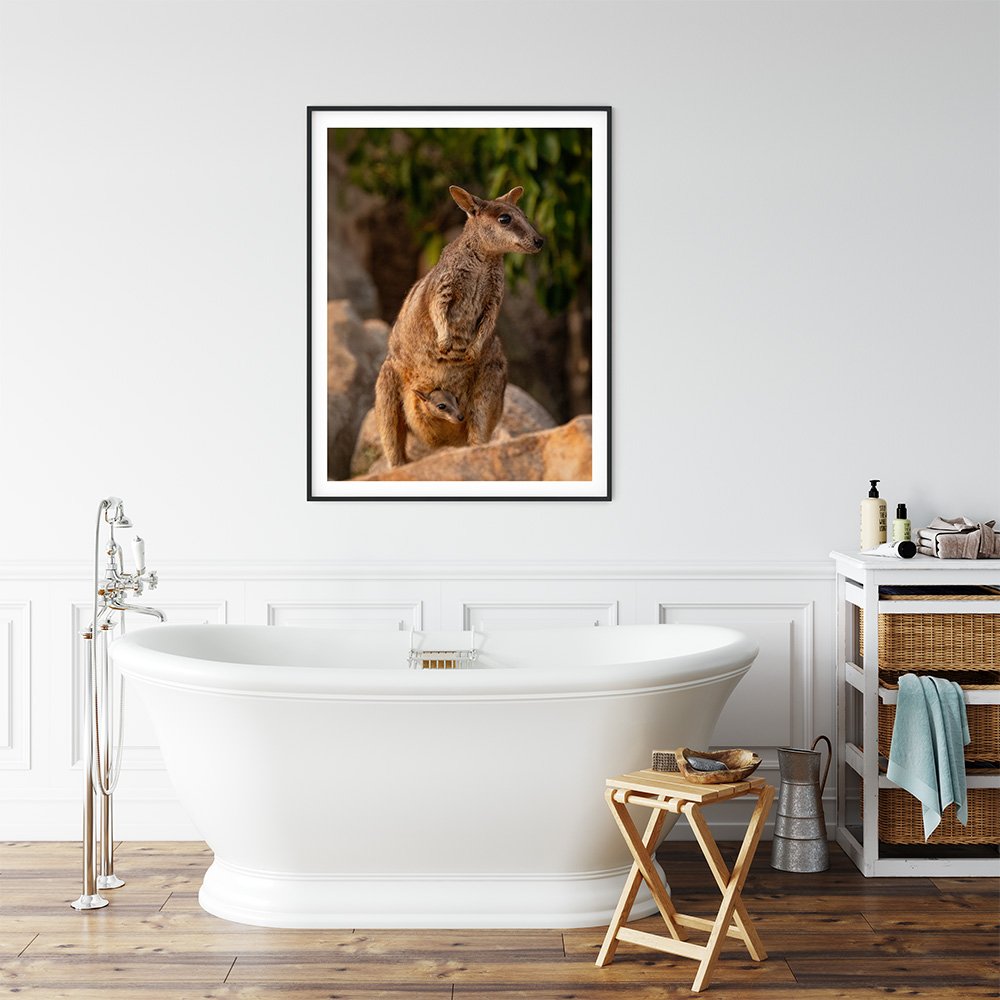 6616ab8ed8c3c268632d0a1d_rock-wallaby-with-joey-in-pouch-black-frame_1763362223252.jpg