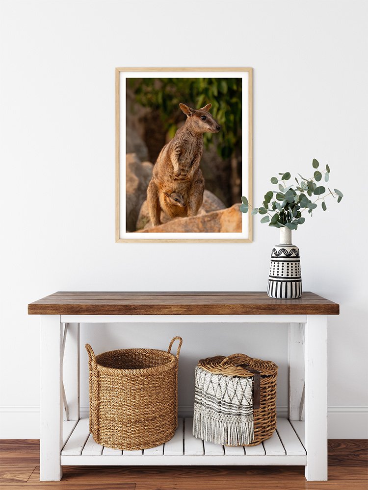 6616ab8ed8c3c268632d0a1d_rock-wallaby-with-joey-in-pouch-wood-frame_1763362223253.jpg