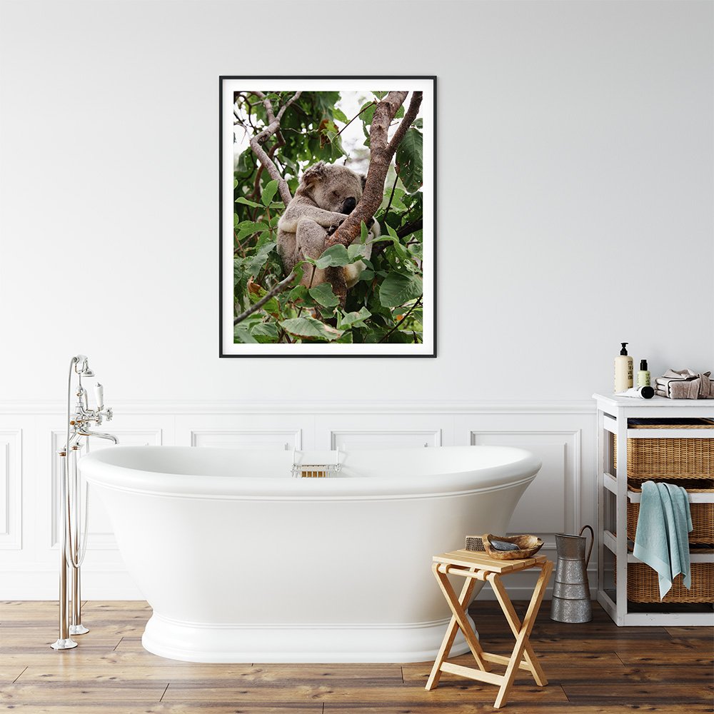 6616ab8ed8c3c268632d0a1d_sleeping-koala-black-frame_1763360890833.jpg