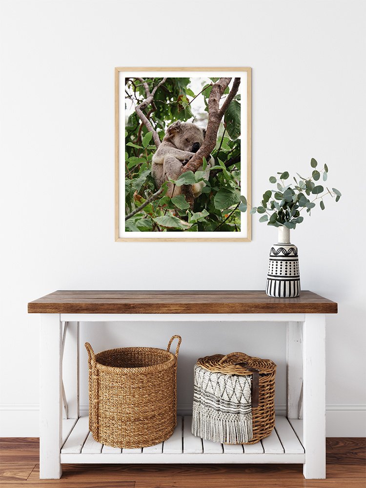 6616ab8ed8c3c268632d0a1d_sleeping-koala-wood-frame_1763360890833.jpg