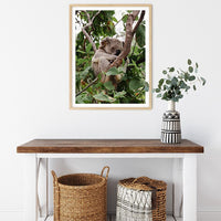 6616ab8ed8c3c268632d0a1d_sleeping-koala-wood-frame_1763360890833.jpg