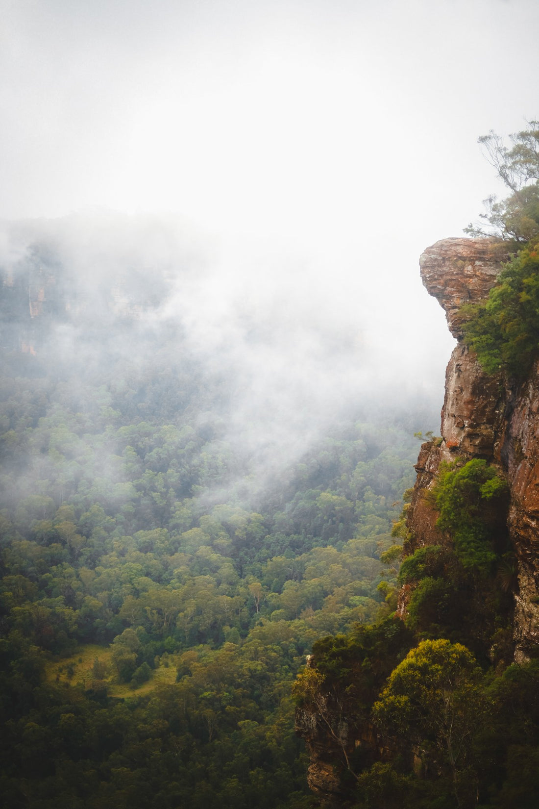 6616ab8ed8c3c268632d0a1d_smoke-in-the-mountains_1787838574057.jpg