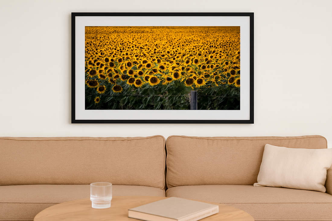 6616ab8ed8c3c268632d0a1d_sunflowers_1764752995372.png