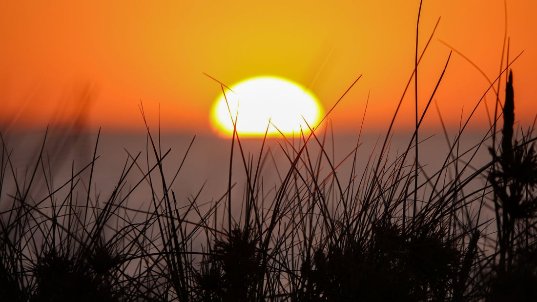 6616ab8ed8c3c268632d0a1d_sunset-over-the-sand-dunes-in-western-australia_1768026201662.jpg