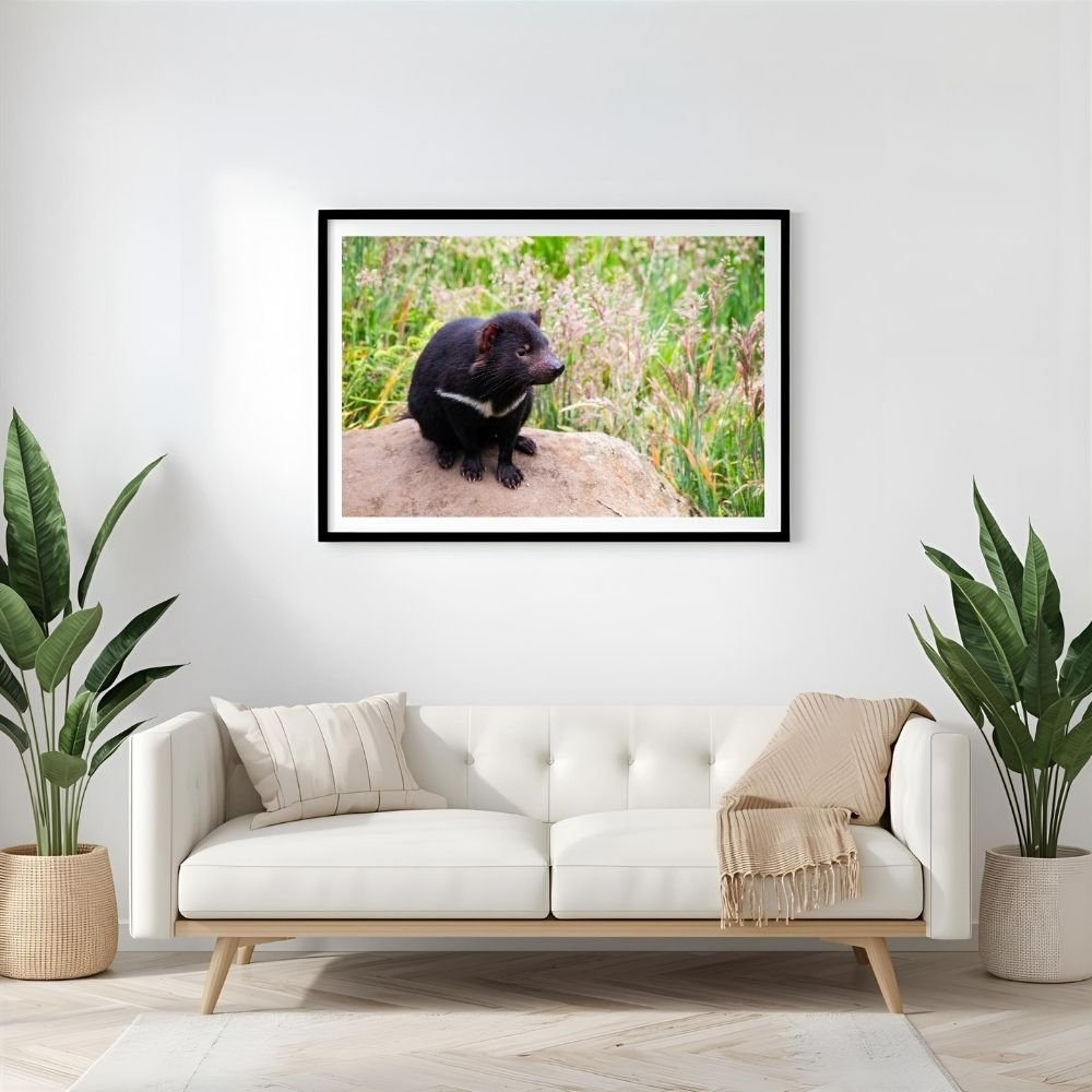 6616ab8ed8c3c268632d0a1d_tasmanian-devil-landscape-black-frame_1765695014890.jpg