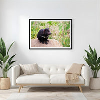 6616ab8ed8c3c268632d0a1d_tasmanian-devil-landscape-black-frame_1765695014890.jpg