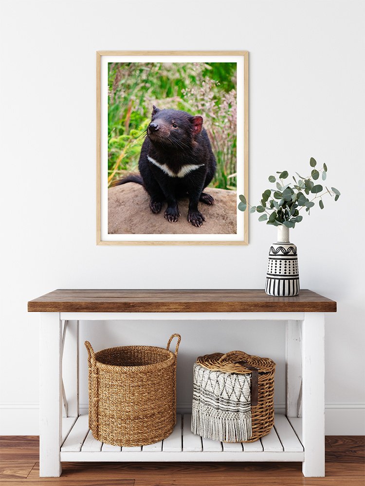 6616ab8ed8c3c268632d0a1d_tasmanian-devil-portrait-wood-frame_1765689729202.jpg