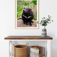 6616ab8ed8c3c268632d0a1d_tasmanian-devil-portrait-wood-frame_1765689729202.jpg