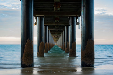 6616ab8ed8c3c268632d0a1d_under-the-hervey-bay-pier_1762593845199.jpg