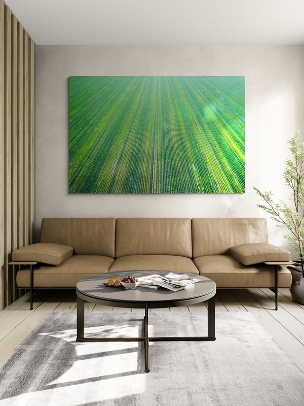 6616ab8ed8c3c268632d0a1d_wall-agricultural-patterns-ii-hay-plains_1770601139970.jpg