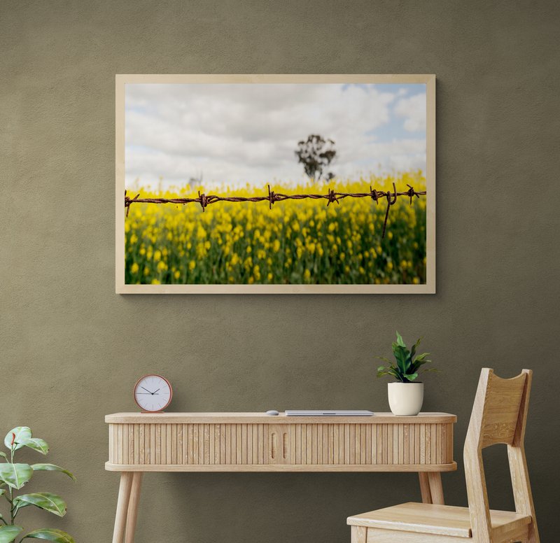 6616ab8ed8c3c268632d0a1d_wall-barbed-wire-and-canola-temora_1771743327868.jpg