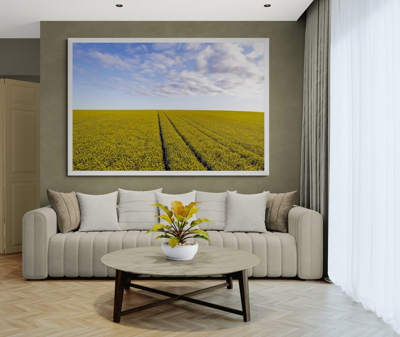 6616ab8ed8c3c268632d0a1d_wall-golden-canola-fields-ii-temora_1771743675150.jpg