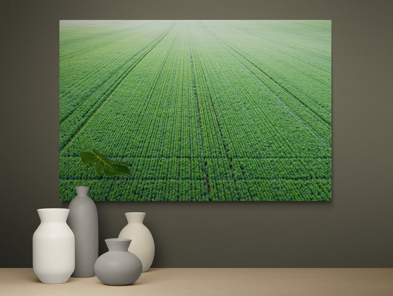6616ab8ed8c3c268632d0a1d_wall-green-crop-patterns-temora_1771744248663.jpg