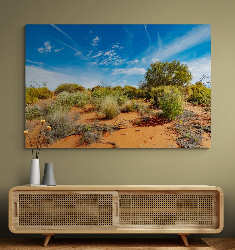 6616ab8ed8c3c268632d0a1d_wall-outback-wildflowers-cameron-corner_1771746227056.jpg