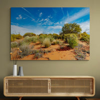 6616ab8ed8c3c268632d0a1d_wall-outback-wildflowers-cameron-corner_1771746227056.jpg