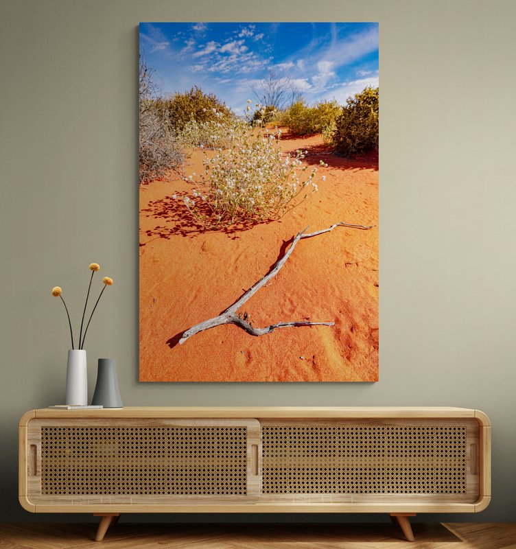 6616ab8ed8c3c268632d0a1d_wall-outback-wildflowers-ii-cameron-corner_1771746370127.jpg
