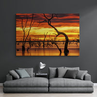 6616ab8ed8c3c268632d0a1d_wall-sky-on-fire-menindee-lakes_1771746471083.jpg