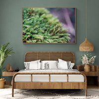 6616ab8ed8c3c268632d0a1d_wall-small-worlds-bellingen_1770600874185.jpg