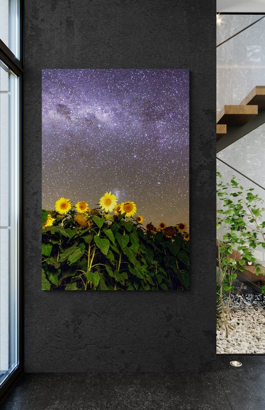 6616ab8ed8c3c268632d0a1d_wall-sunflowers-under-the-stars-ii-quirindi_1771745784899.jpg