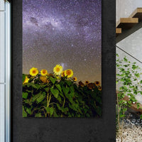 6616ab8ed8c3c268632d0a1d_wall-sunflowers-under-the-stars-ii-quirindi_1771745784899.jpg