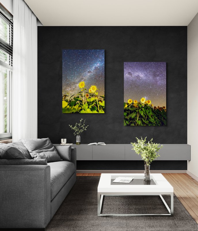 6616ab8ed8c3c268632d0a1d_wall-sunflowers-under-the-stars-quirindi-both_1771745782012.jpg