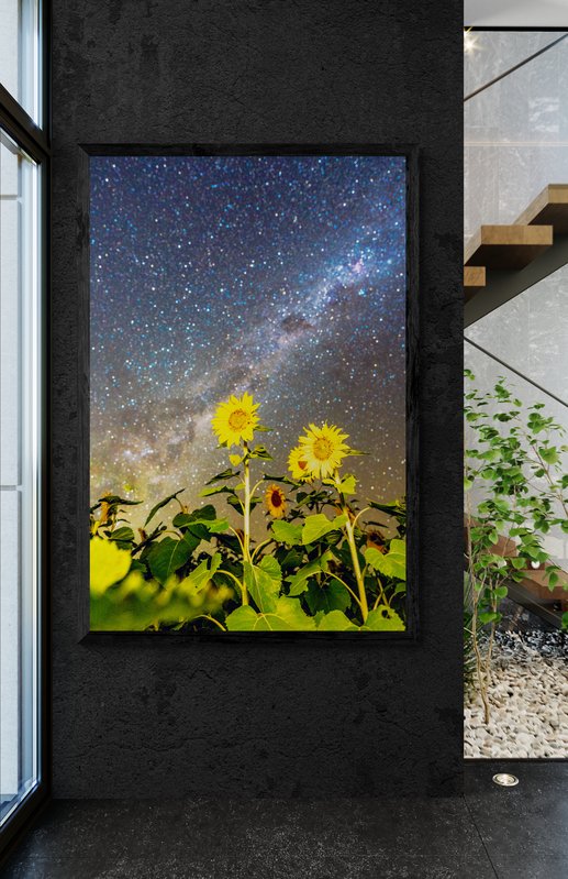 6616ab8ed8c3c268632d0a1d_wall-sunflowers-under-the-stars-quirindi_1771745626200.jpg