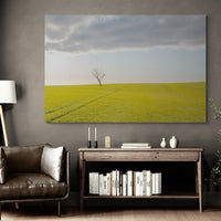 6616ab8ed8c3c268632d0a1d_wall-v2-standing-alone-temora_1771743983089.jpg