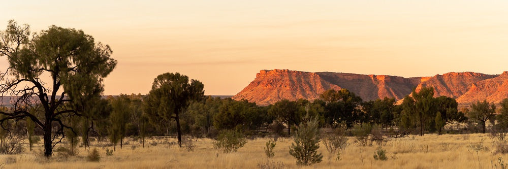 6616ab8ed8c3c268632d0a1d_watarrka-sunset_1773787942347.jpg