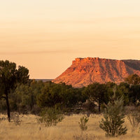 6616ab8ed8c3c268632d0a1d_watarrka-sunset_1773787942347.jpg