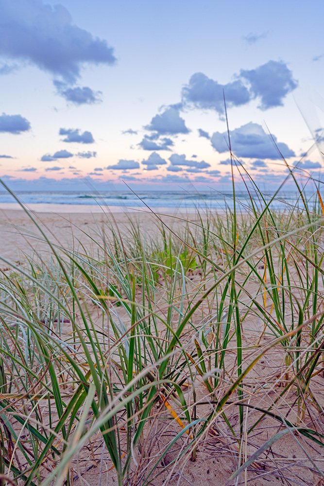 6616ab8ed8c3c268632d0a1d_web-after-the-sunset-sawtell_1784173511359.jpg