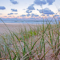 6616ab8ed8c3c268632d0a1d_web-after-the-sunset-sawtell_1784173511359.jpg