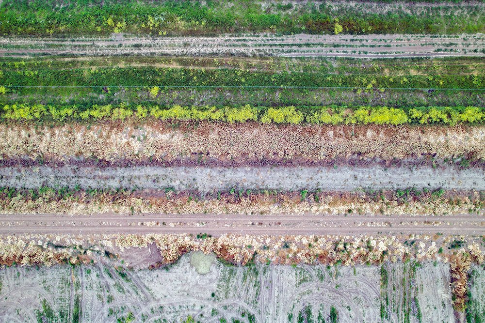 6616ab8ed8c3c268632d0a1d_web-agricultural-patterns-hay-plains_1770601036516.jpg