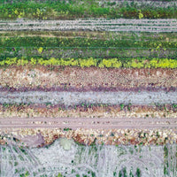 6616ab8ed8c3c268632d0a1d_web-agricultural-patterns-hay-plains_1770601036516.jpg